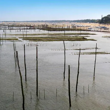 Country On Bay Of Arcachon Lanton